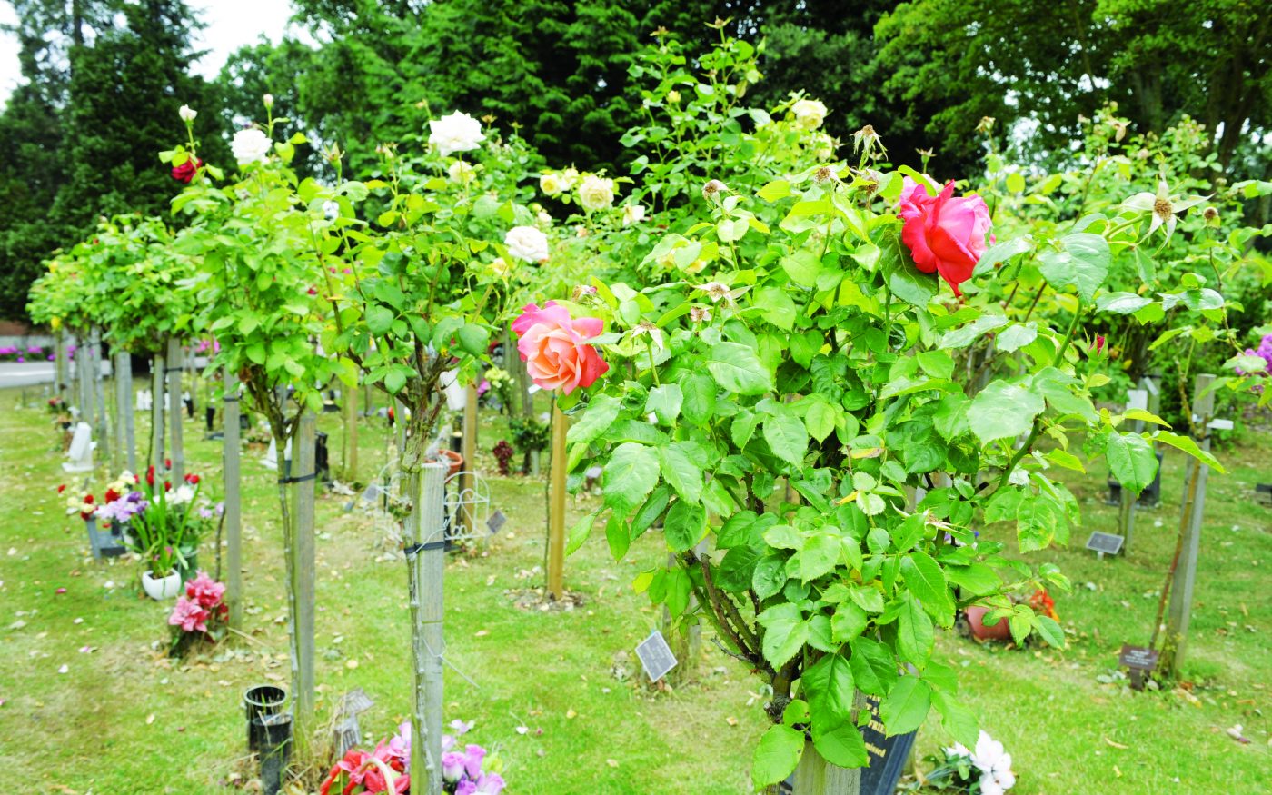 ICCS - Islington and Camden Cemetery Services